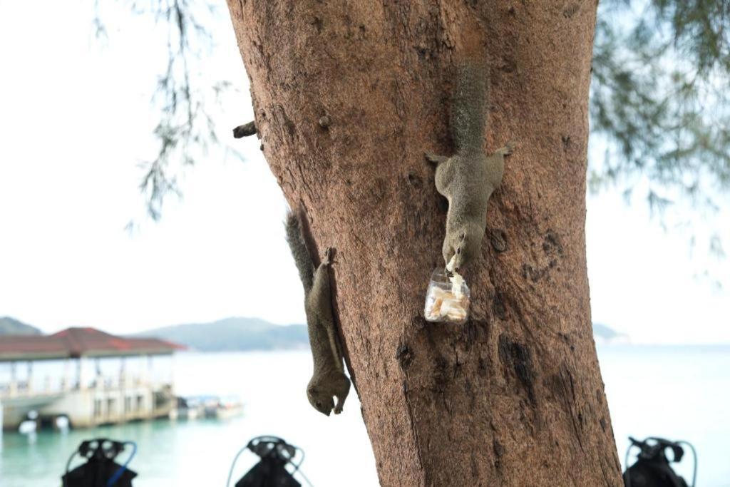 Perhentian Island Resort Esterno foto