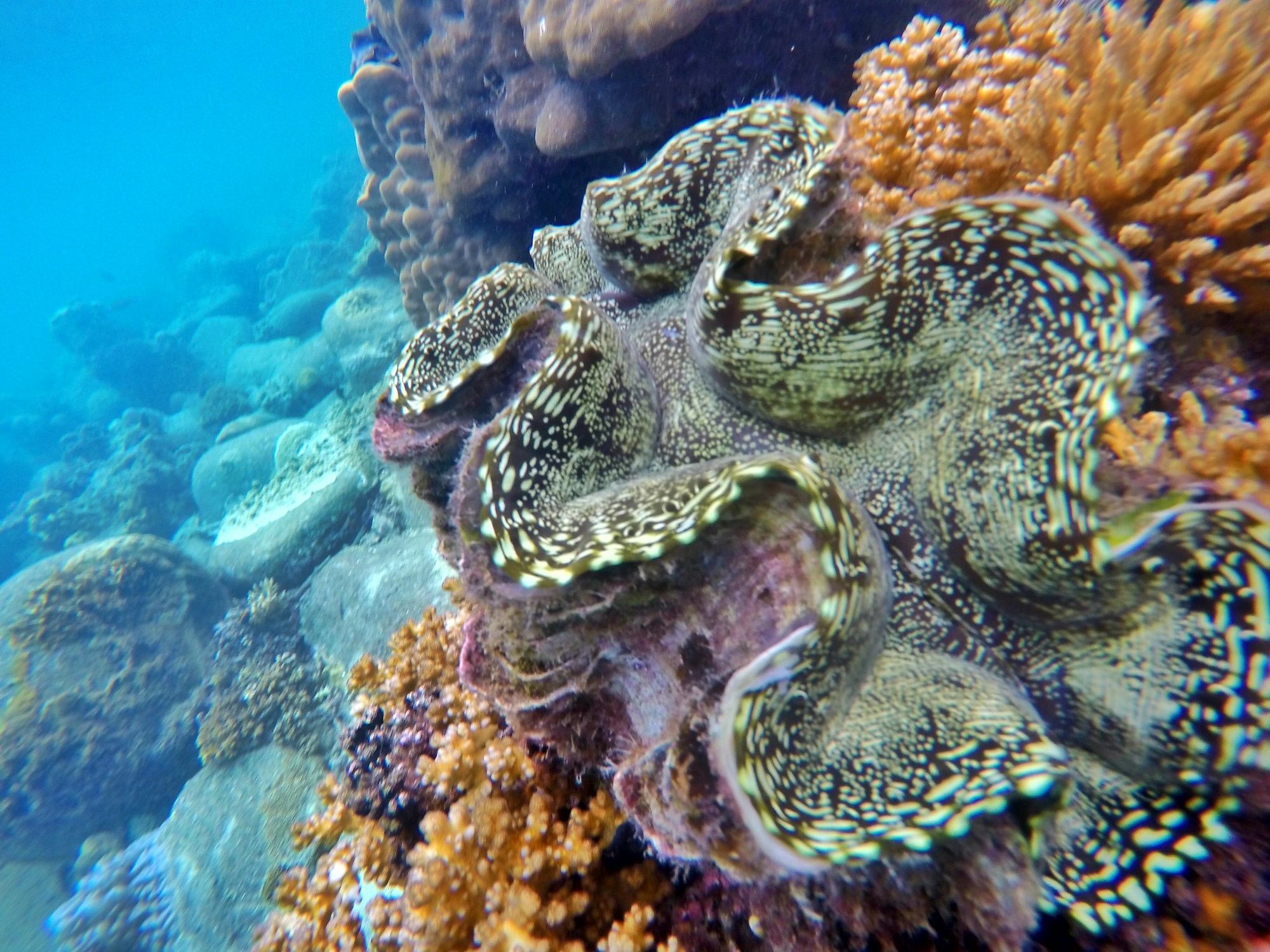 Perhentian Island Resort Esterno foto